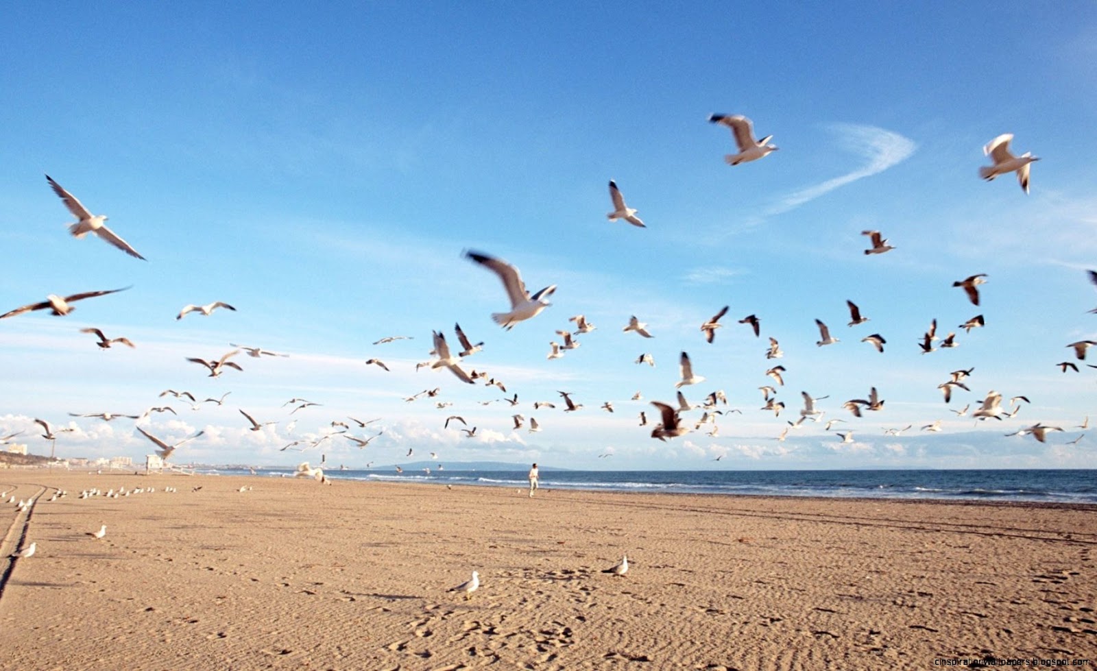 Summer Beach Desktop Summer Beach Desktop
