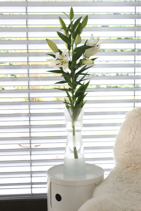 Kebo Homing Der Sudtiroler Food Und Lifestyleblog Manner Sind Schon Manchmal Lustig Oder Blumen Am Freitag