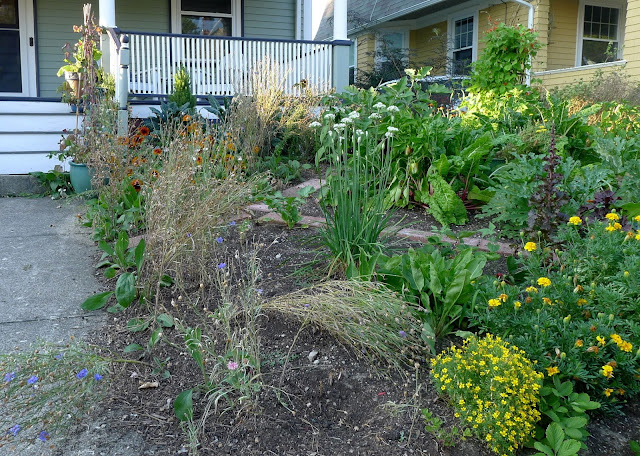Edible Landscaping: replacing spent annual batchelor's Buttons