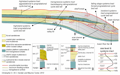 Sequence stratigraphy fossils diagram quiz 