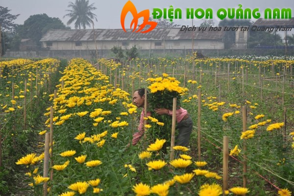 [Image: Hot-bac-nho-nhung-vuon-hoa-dep-nhu-tranh-o-Ha-Noi-8.jpg]