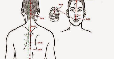 Medicina Tradicional Chinesa MTC Meridiano DU MAI