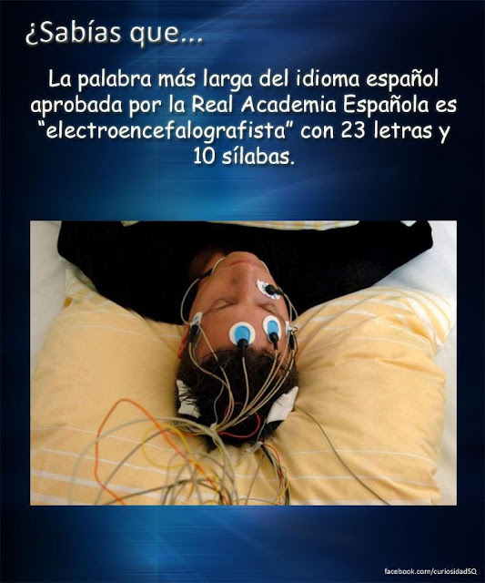 ¿Sabías que? La palabra más larga del idioma español