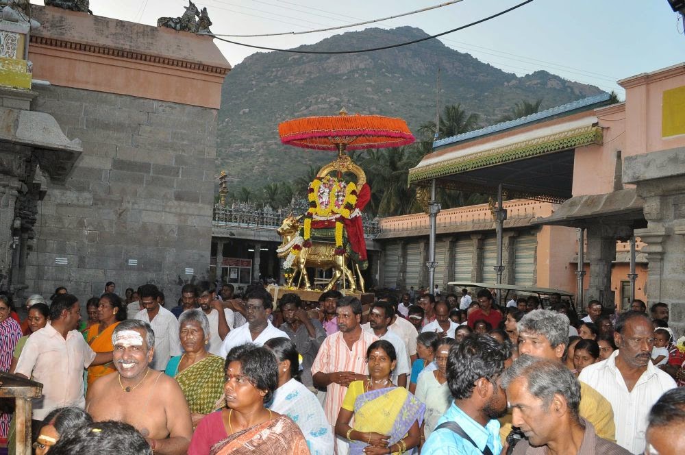 ARUNACHALA GRACE: January 2, 2015 Pradosham -- Arunachaleswarar Temple