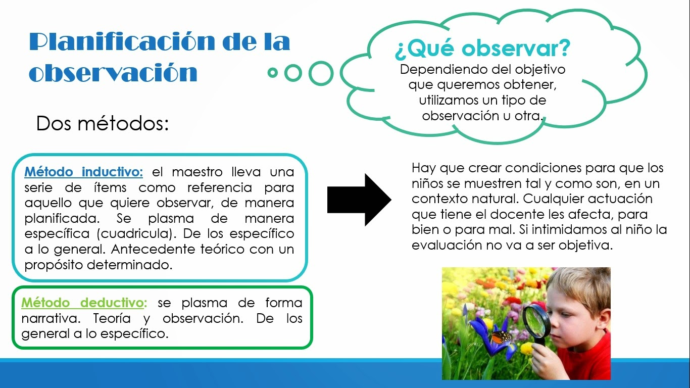 Como Hacer La Observacion De Un Proyecto