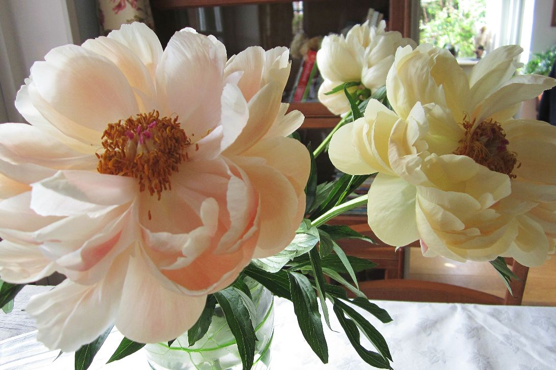 Fading flowers A Beautiful World