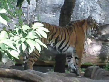20111110-20111109_2.JPG