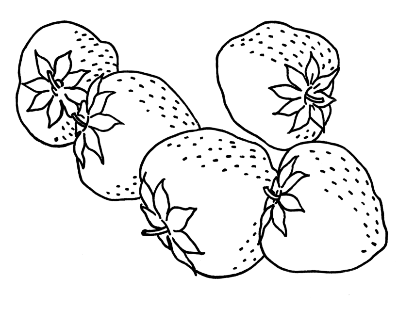Fruits Coloring Sheet Pictures | Learn To Coloring