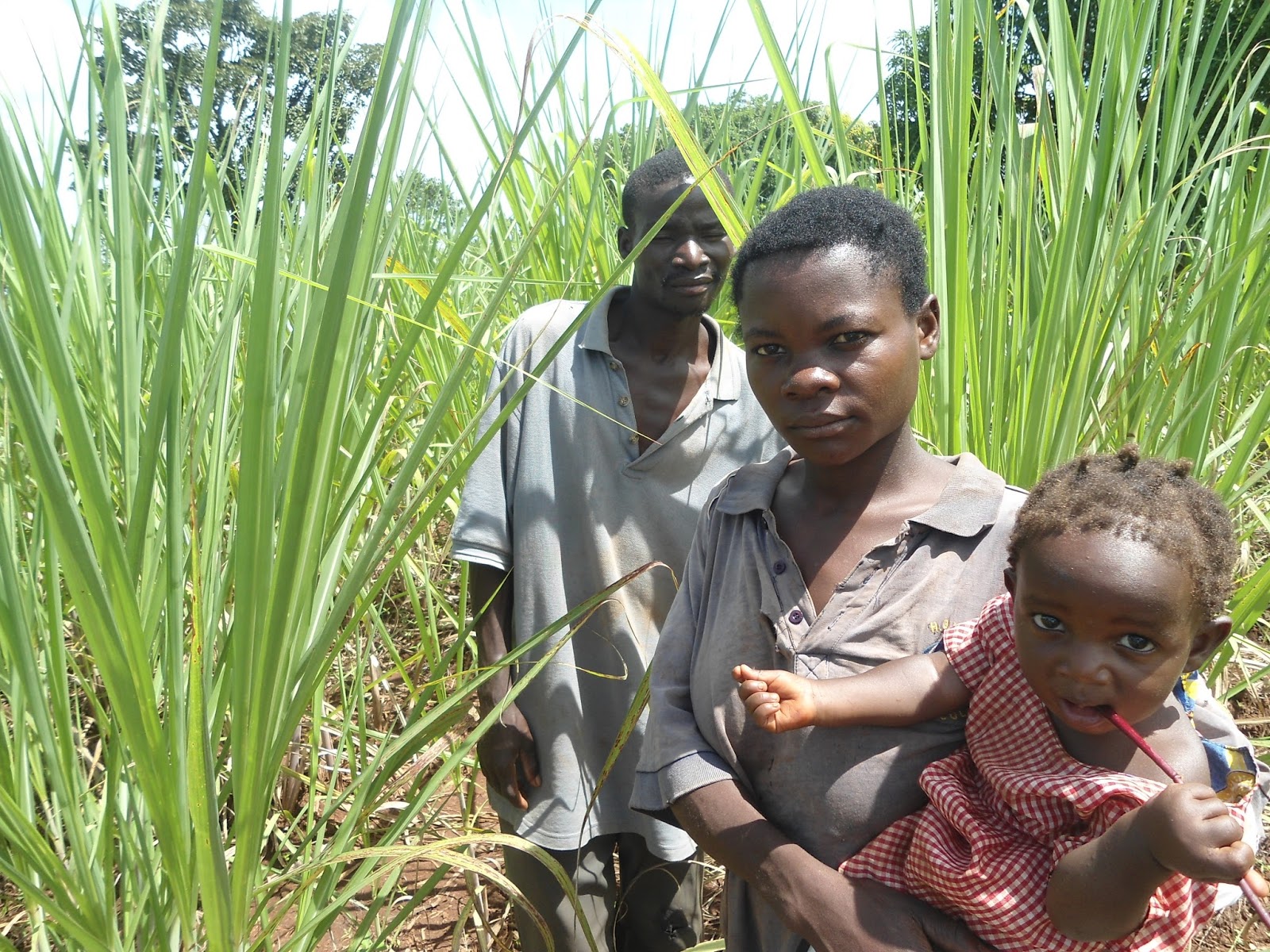 Черная Африка Секс Черная Африка Секс