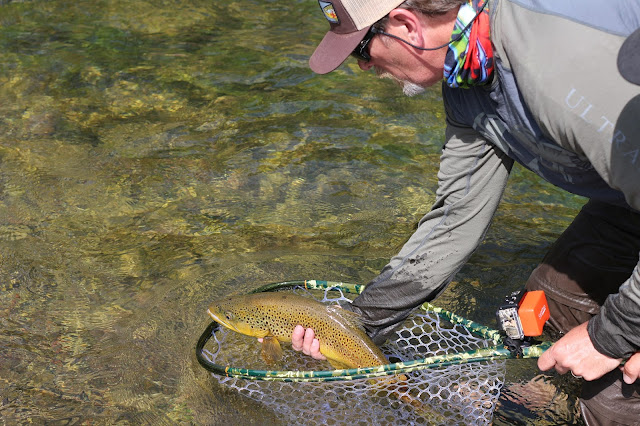 Flyfishing%2Bthe%2BGreen%2BRiver%2Bin%2BJune%2Bwith%2BJay%2BScott%2BOutdoors%2B12.JPG