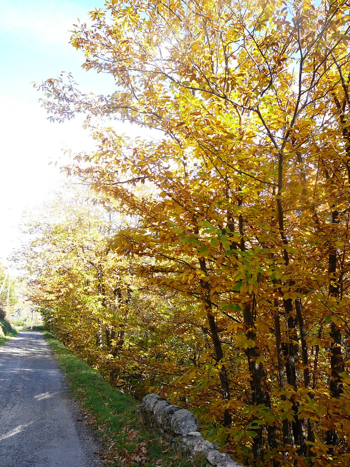 UN PAYSAN DE L ALLIER l'Ardèche pays rude , rendu célèbre par Jean Ferrat