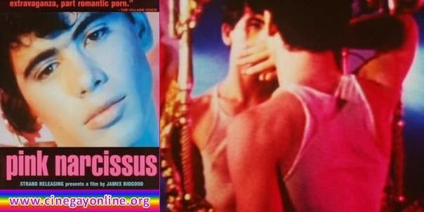 Pink Narcissus, película