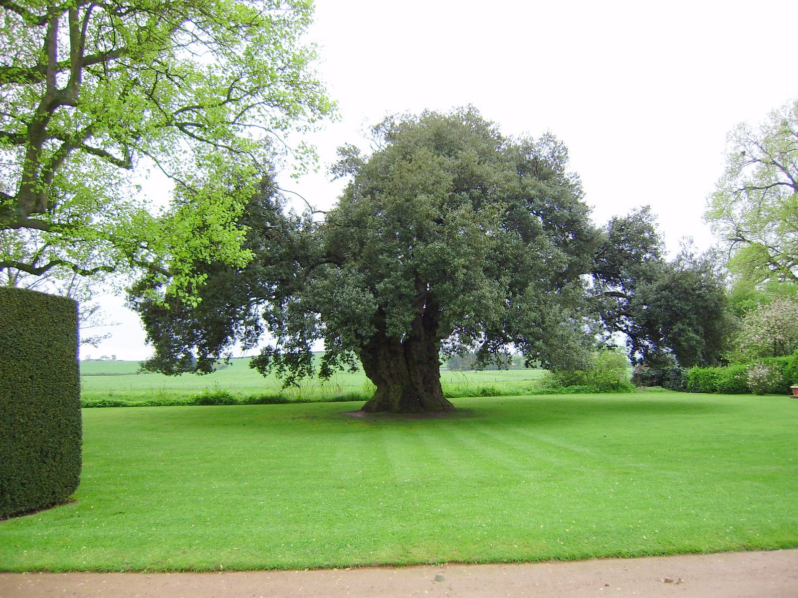 Westbury Court Garden