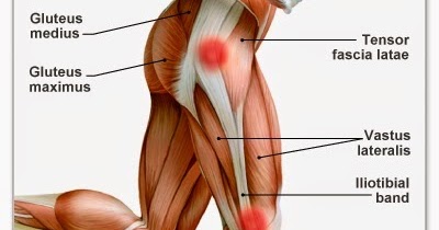 Kinesiology & Sport Review: Iliotibial Band Syndrome