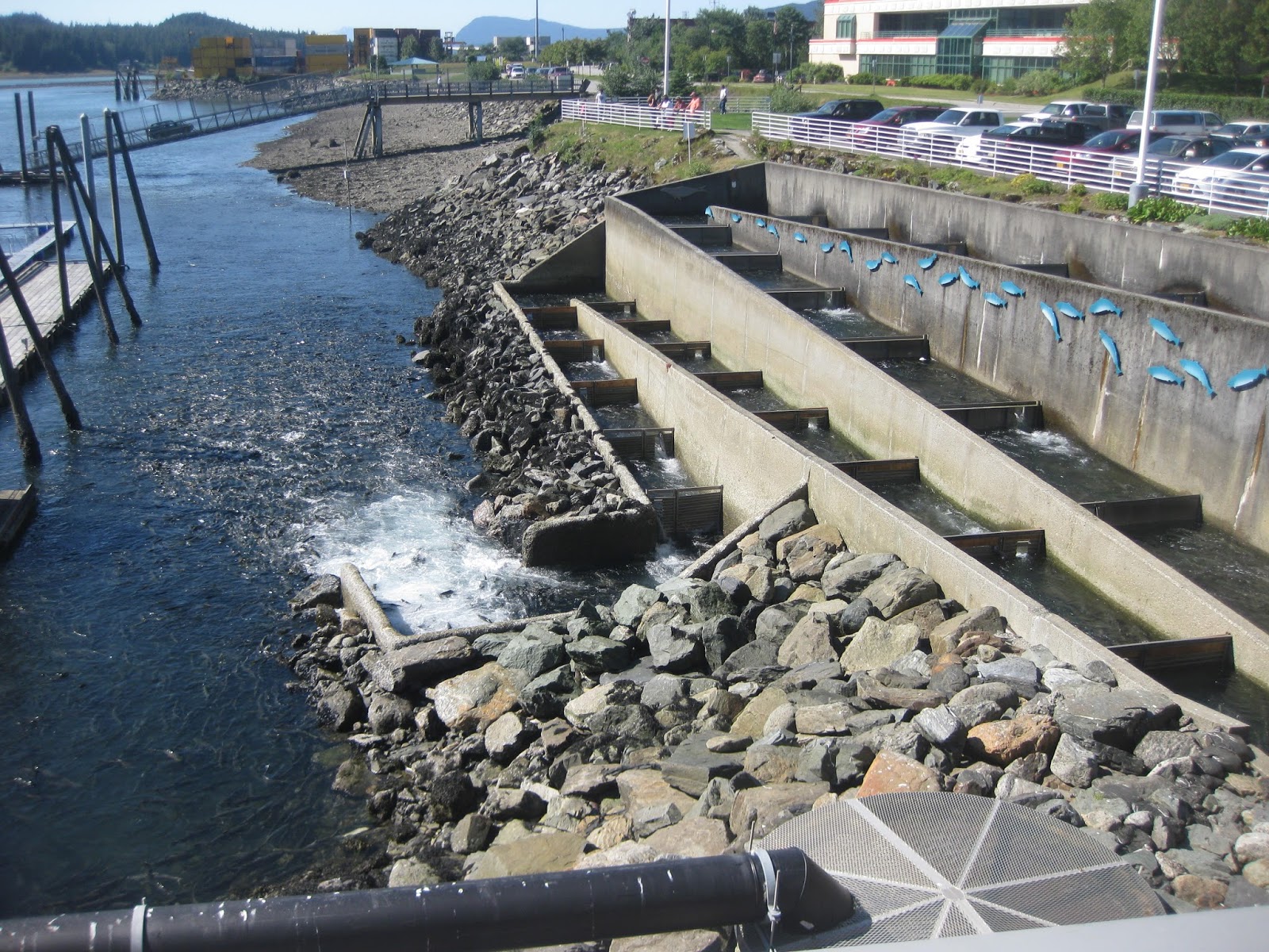 In the Know About Juneau (Our Alaska Adventure Part 2) Suzette Mack