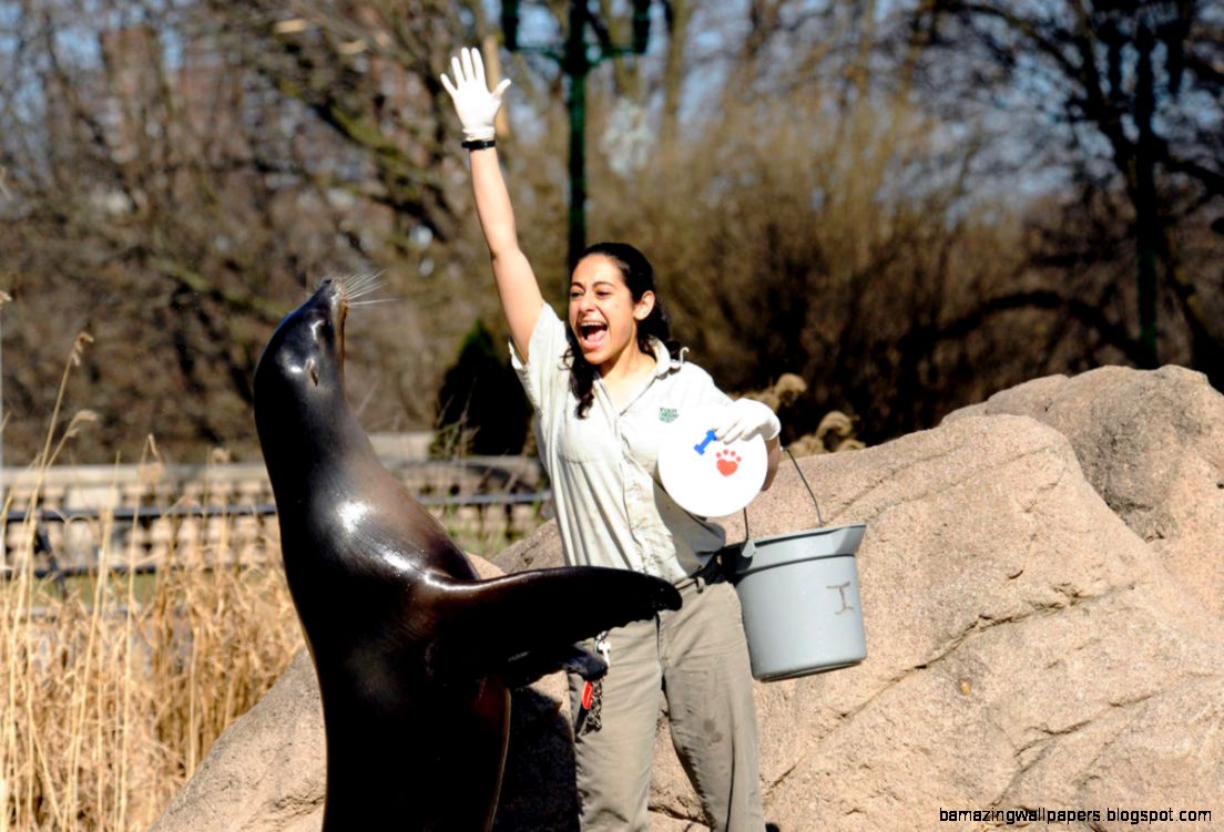 Wildlife Careers Bronx Zoo Wildlife Careers Bronx Zoo