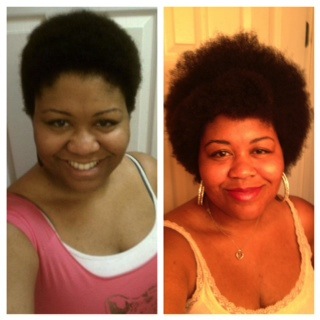 Transition Big Chop Or Long Term Transtion