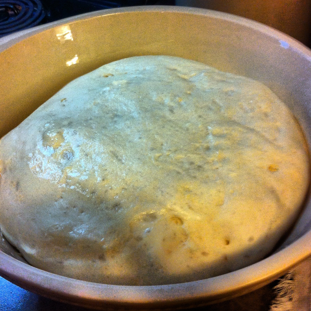 Nothing but love Dough Gods