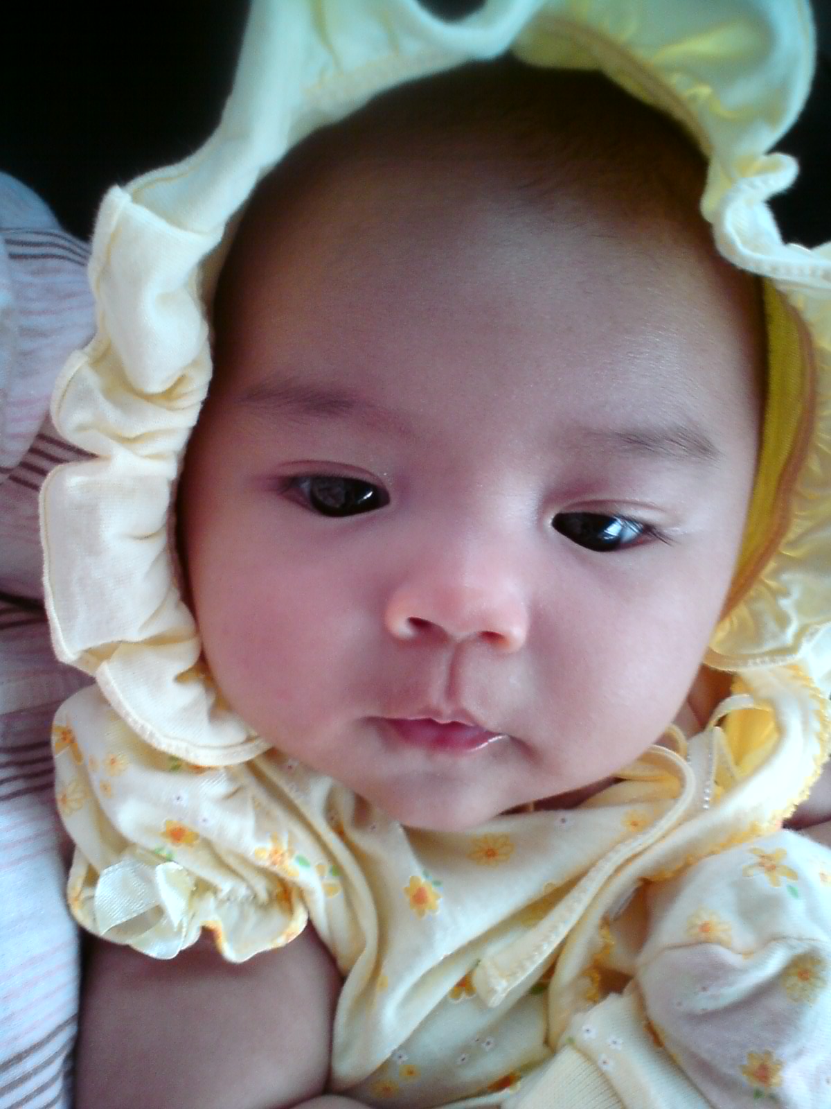 My Memory Alya Adriana