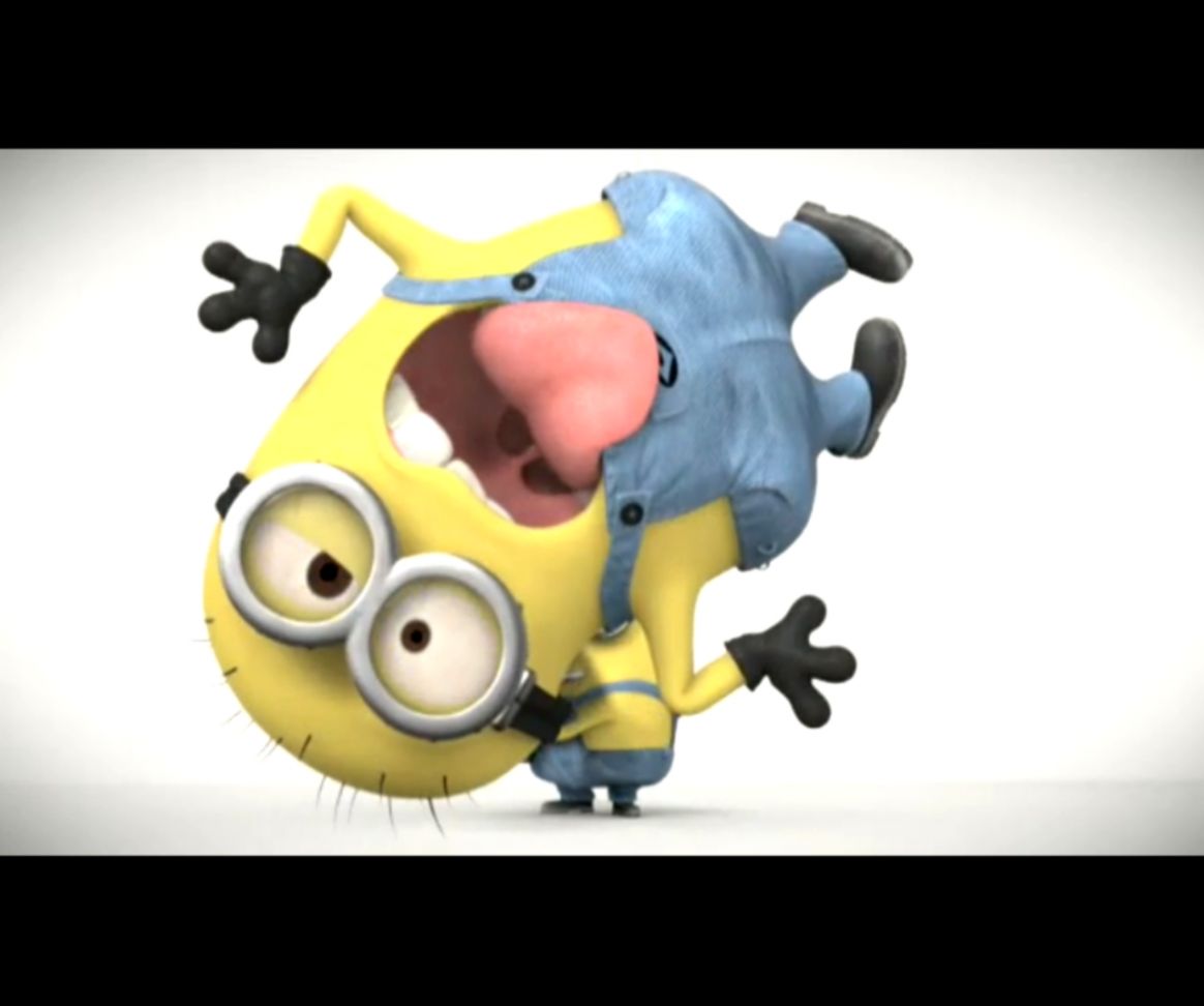 Minions Despicable Me Minions Photo 15910109 Fanpop Minions Despicable Me Minions Photo 15910109 Fanpop