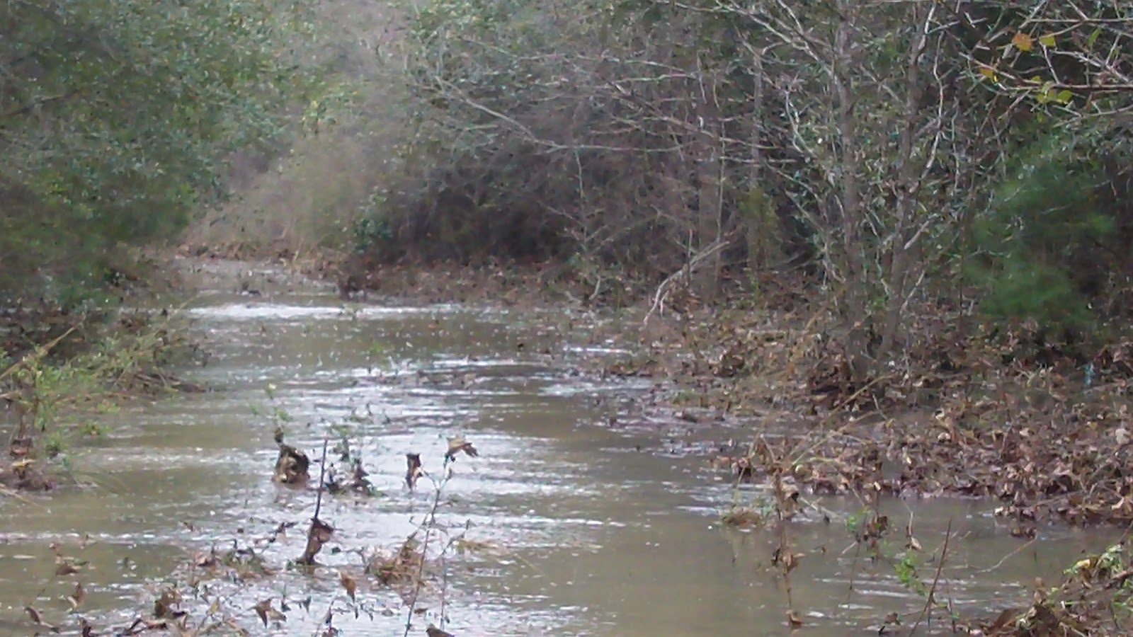 Jackson County, Florida Water Flows Uphill at Bellamy Bridge?