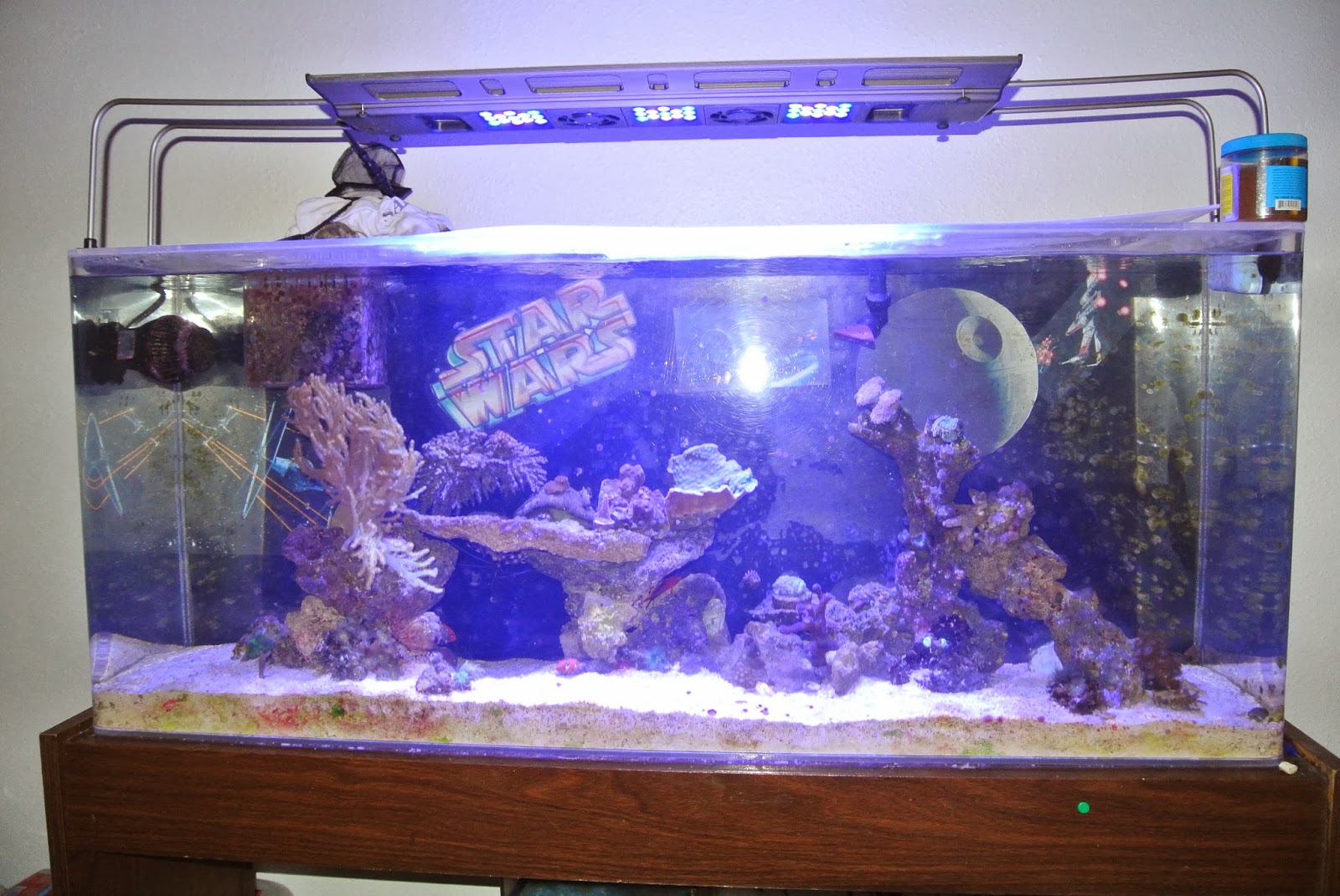 My Star Wars retro mix reef aquarium Reef aquarium, Saltwater