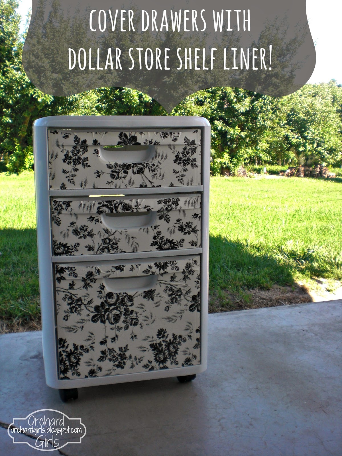 Orchard Girls Top 5 Dollar Store Projects