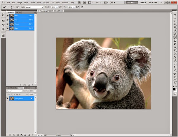 Photoshop Beginners Guide 2→Getting Started With Photoshop