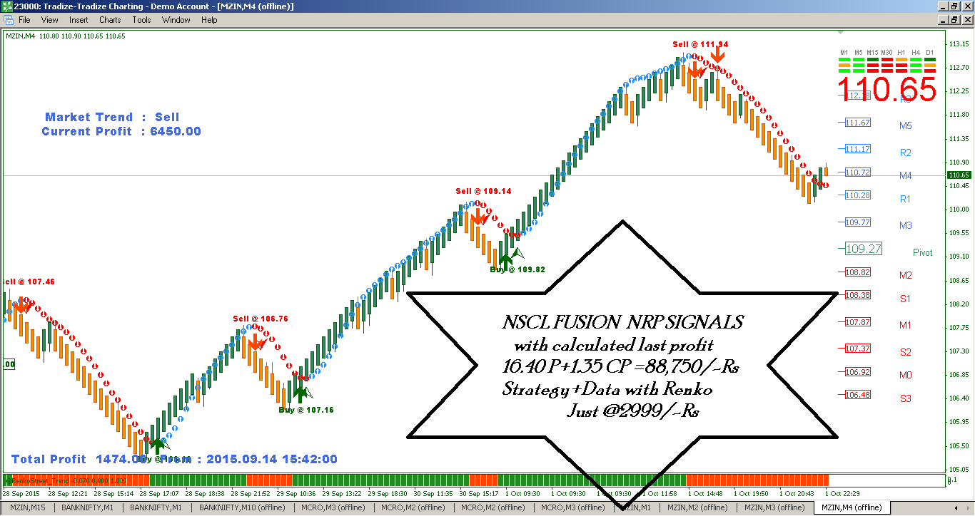 Renko chart trading system and script
