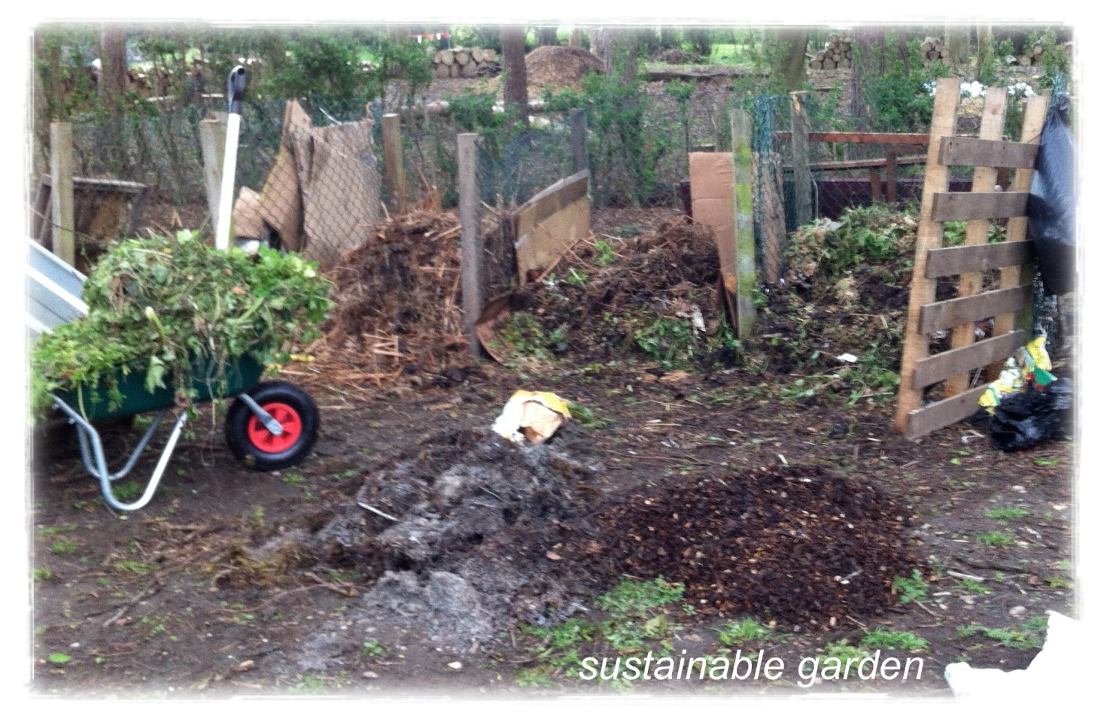 sustainable garden turning sand into fertile soil (3)