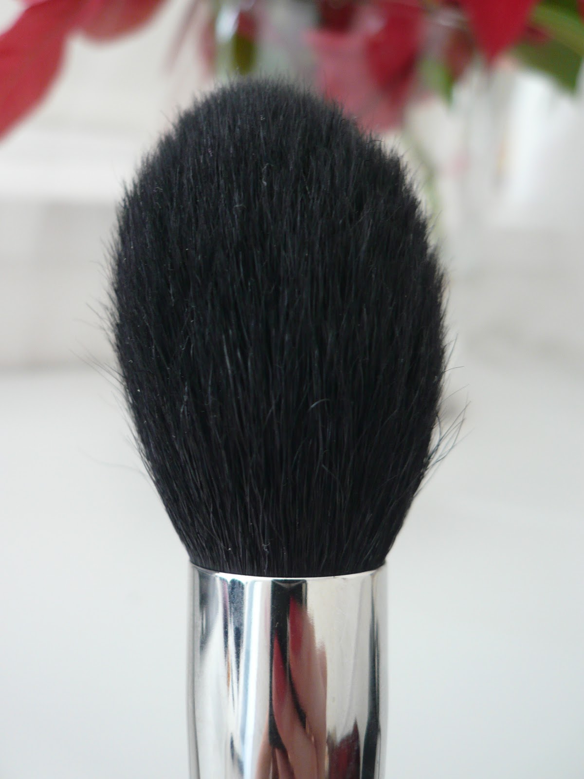 Anna6Belle My Top 5 Must Have Mac Brushes