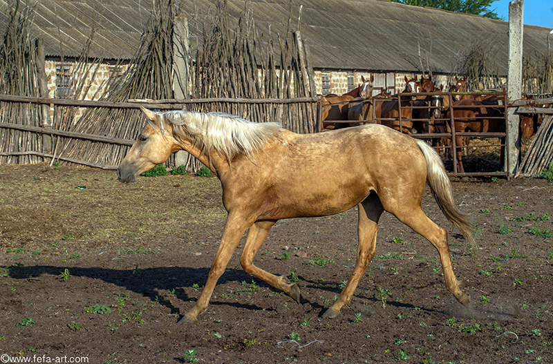 YY0P4729-19.jpg