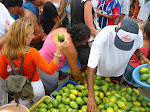 feira popular