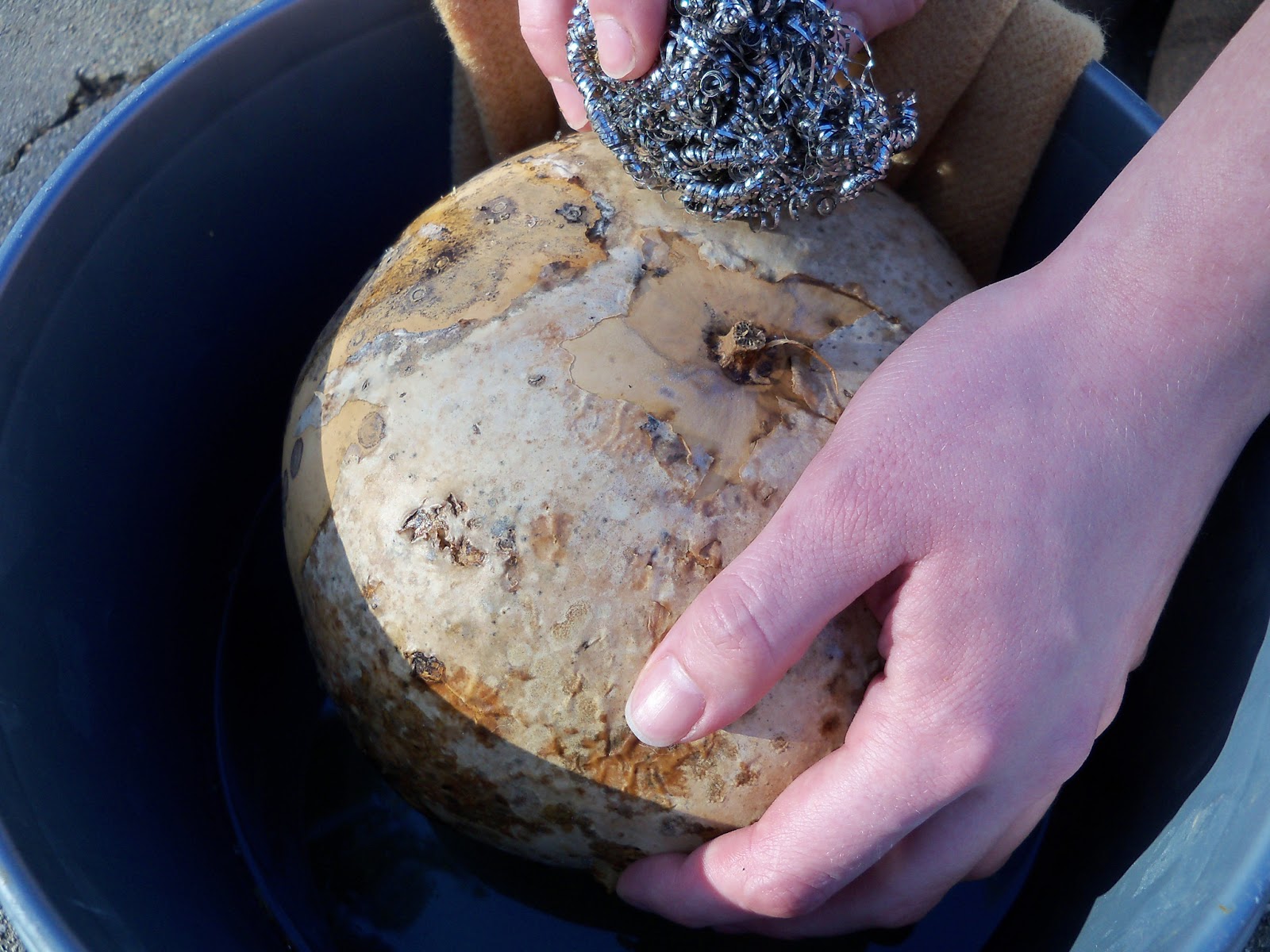 Bernadette's Gourd Creations First Gourd Video Tutorial How to Clean