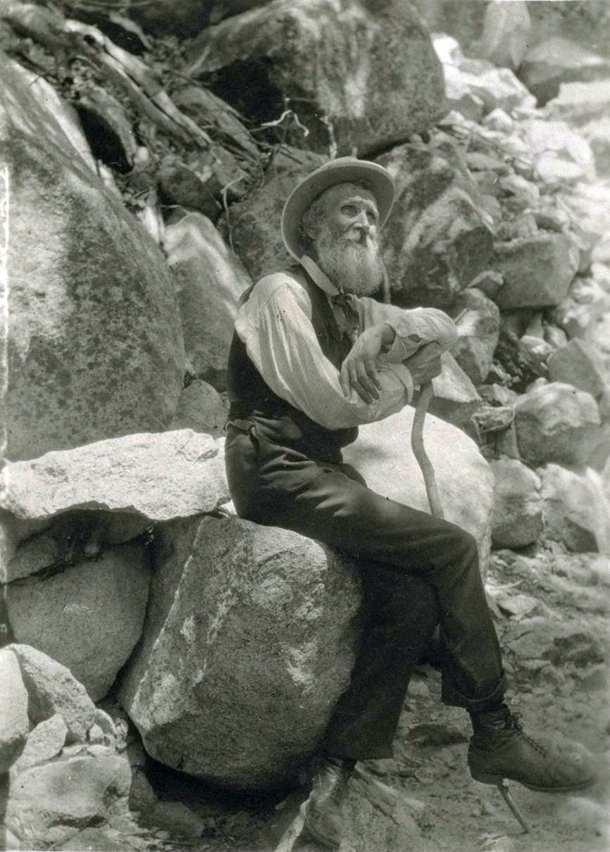 Free John Muir Essays and Papers | Help Me