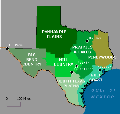 Pics Of Tx
