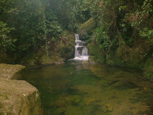 Parque Estadual da Serra do Mar