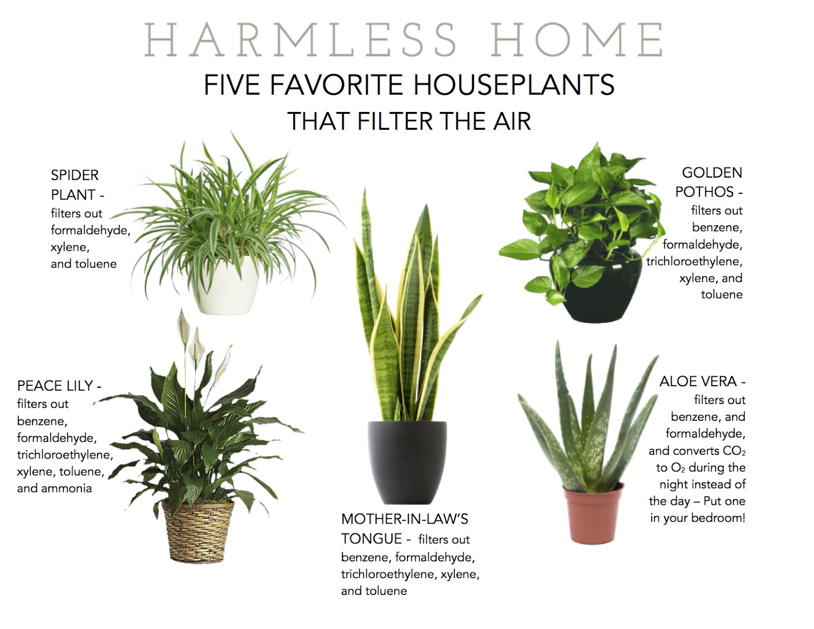 Put some plants to work harmless home