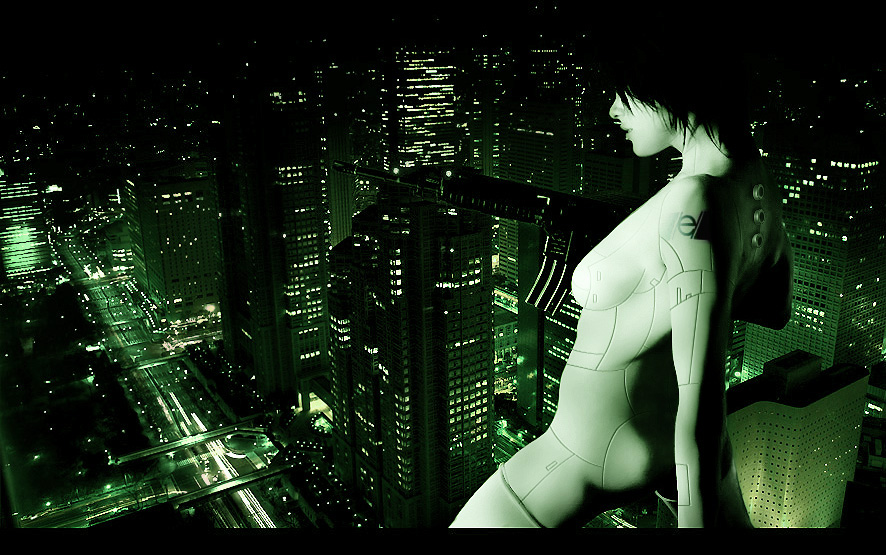 essay on ghost in the shell essay on ghost in the shell