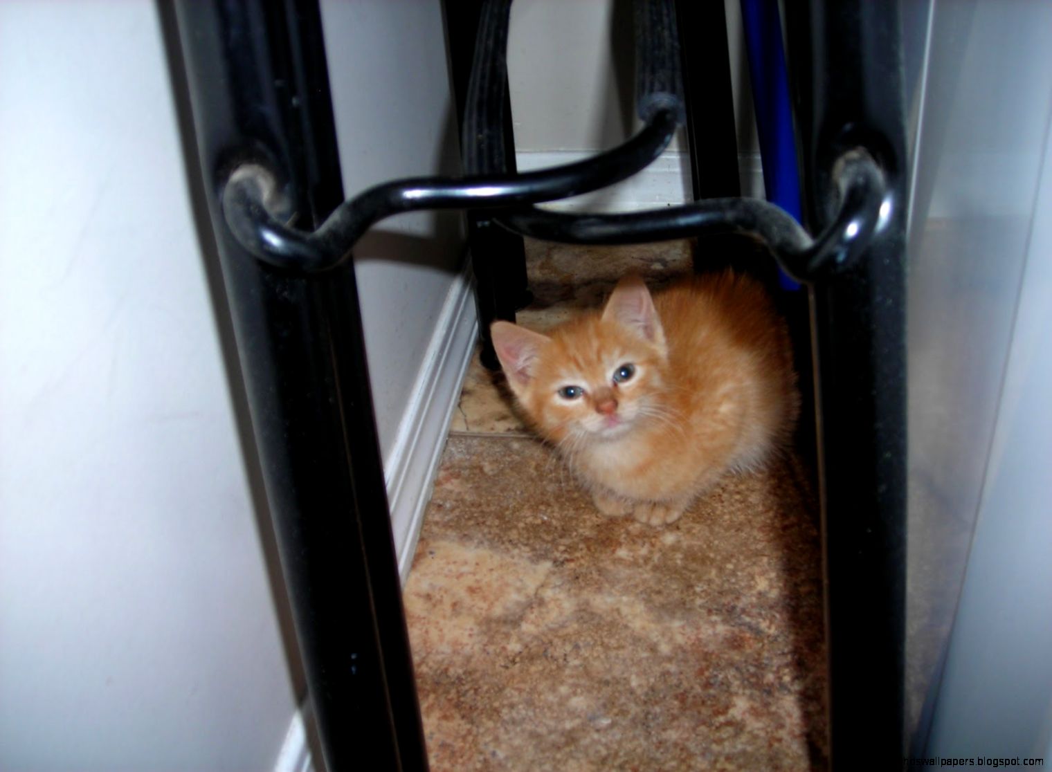 Te he so tiny and sweet My mom said he was crying a lot He was Te he so tiny and sweet My mom said he was crying a lot He was