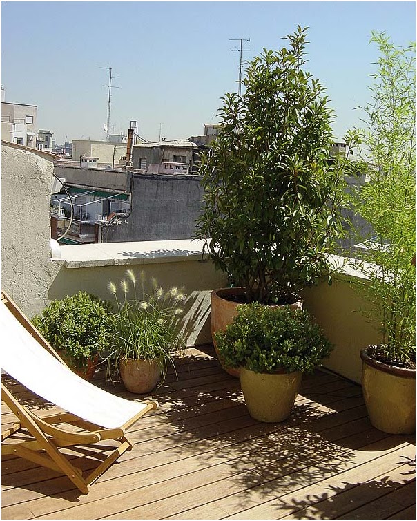 LA GUARIDA DE BAM: Terrazas al aire libre