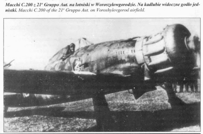 Italian Aircraft of WWII Corpo di Spedizione Italiano in Russia (CSIR