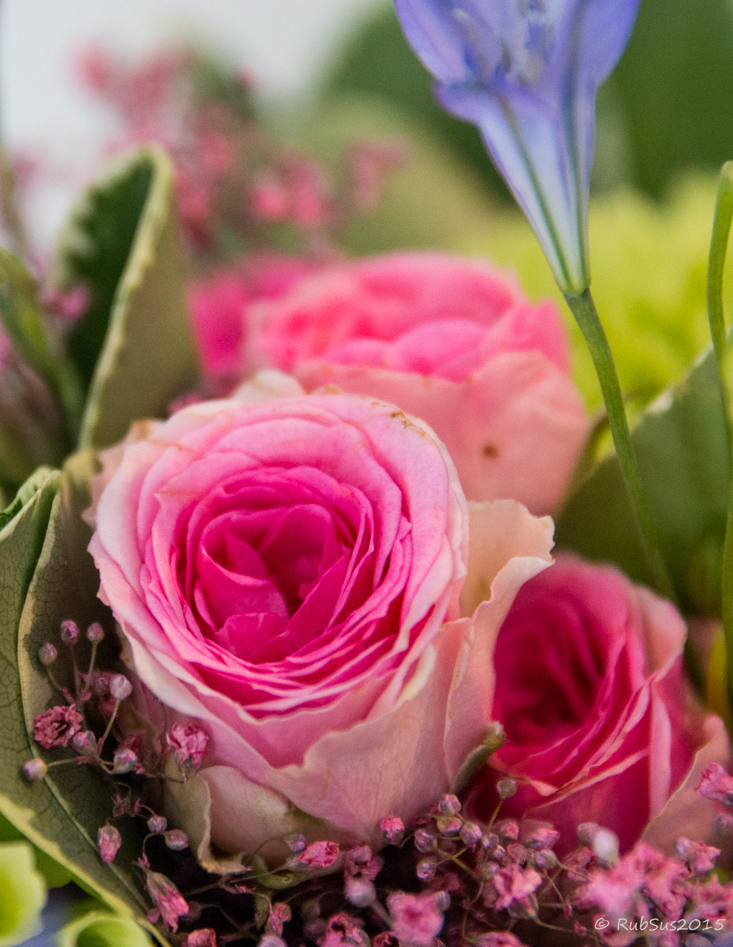 Prinz William Feiert Geburtstag Mit Sussen Familienfotos Stylebook