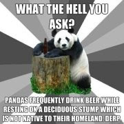 Panda Pub Crawl
