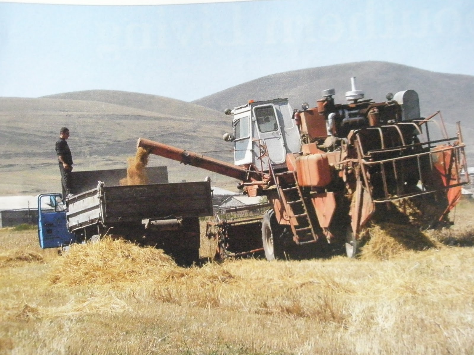 Pete Torola's Homeless Page June 2012