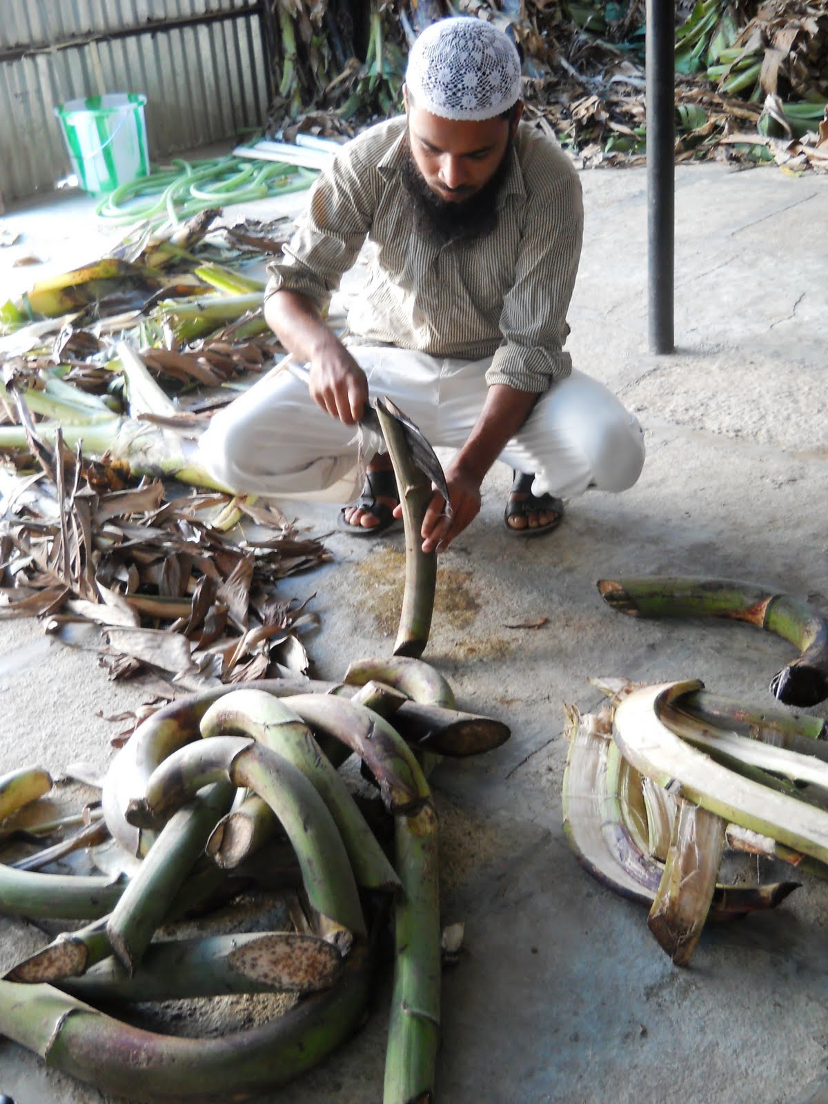 Eco Green Unit Banana fibre extraction project at Gulbargha