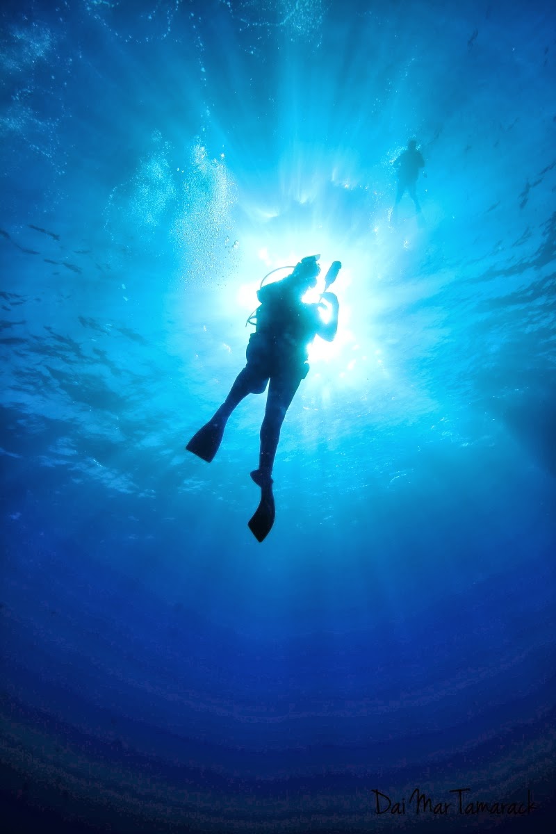 Capturing the Moment: Double Back Wall Molokini Deep Dive