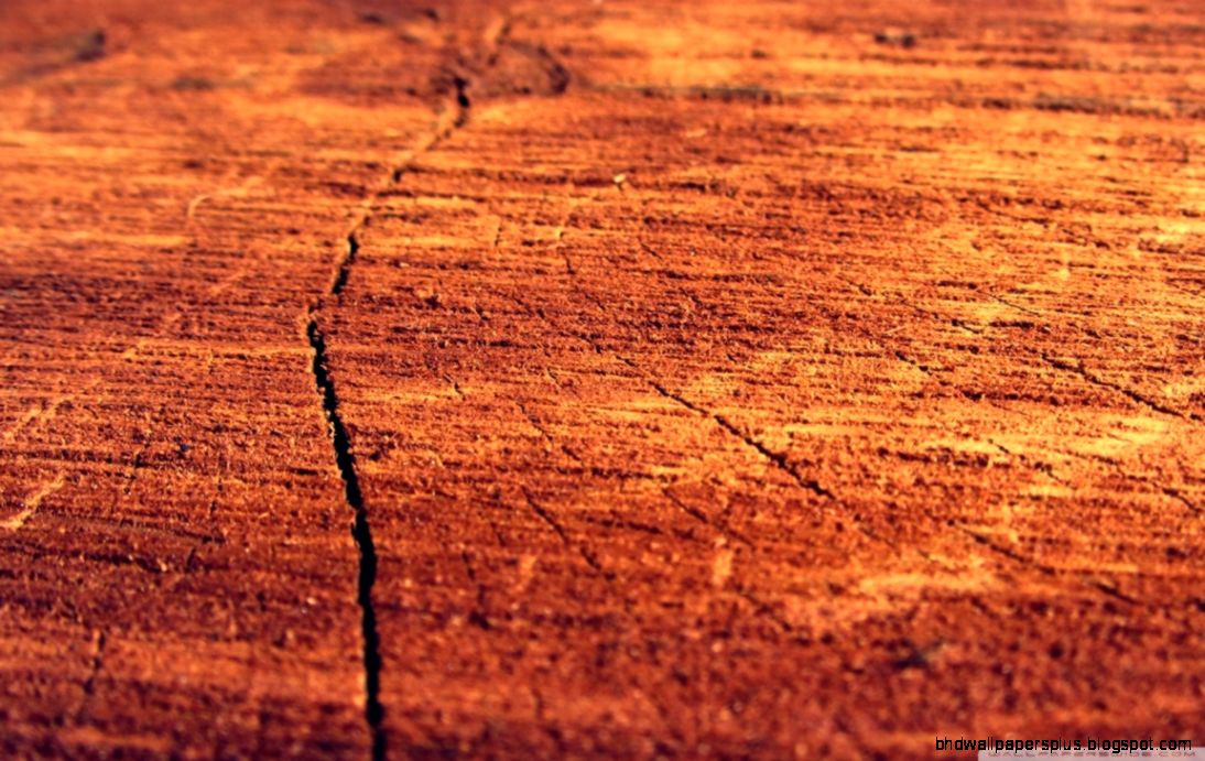 Wood Log HD desktop wallpaper Widescreen High Definition Wood Log HD desktop wallpaper Widescreen High Definition