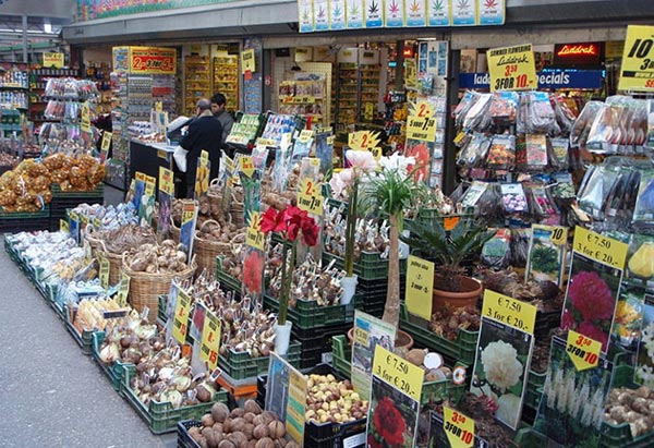 [Image: cho-hoa-noi-o-amsterdam-10.jpeg]