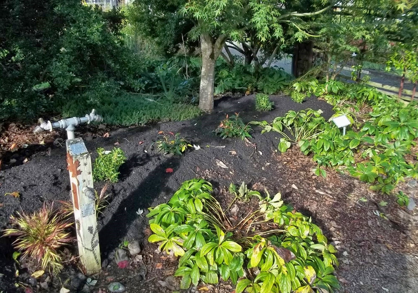 The Ornamental Border At Bradner Gardens Park 2014